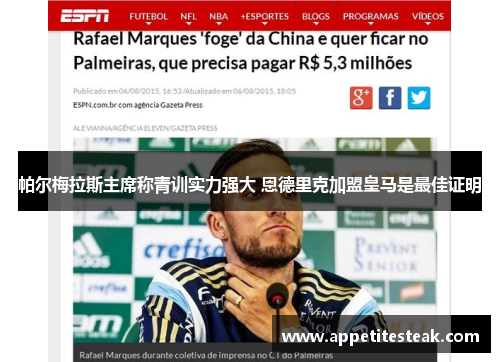 帕尔梅拉斯主席称青训实力强大 恩德里克加盟皇马是最佳证明