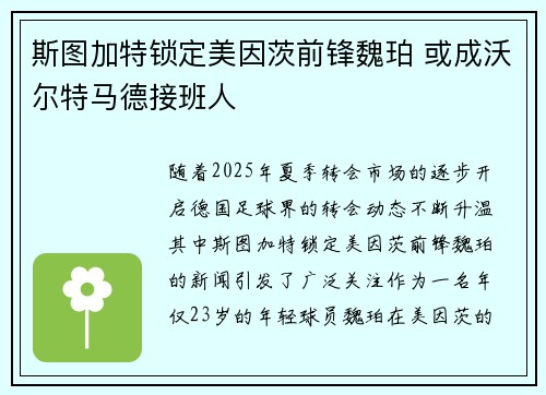 斯图加特锁定美因茨前锋魏珀 或成沃尔特马德接班人