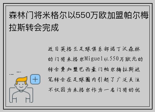森林门将米格尔以550万欧加盟帕尔梅拉斯转会完成