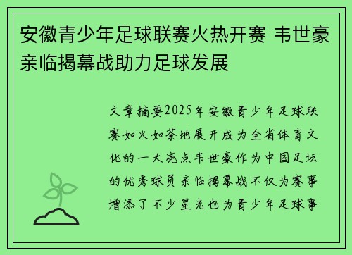 安徽青少年足球联赛火热开赛 韦世豪亲临揭幕战助力足球发展